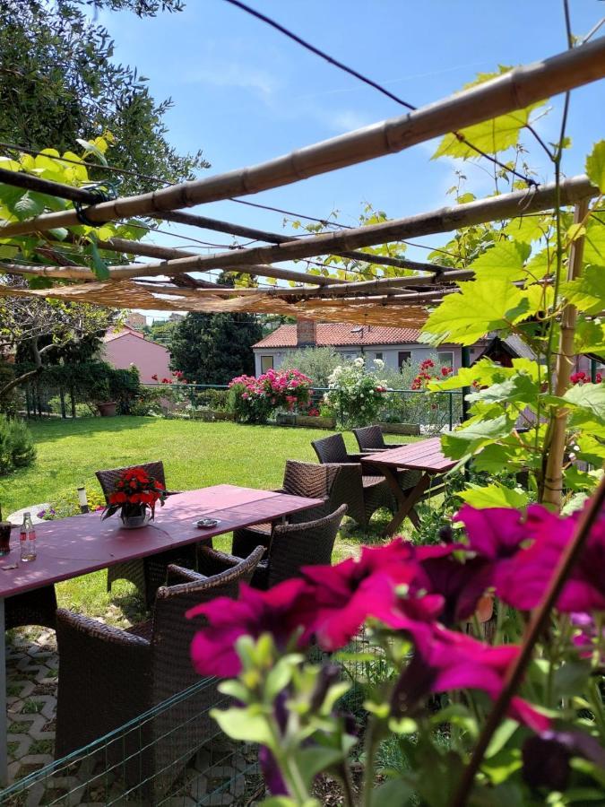 Apartmaji, Sobe - Obzidje Otel Piran Dış mekan fotoğraf